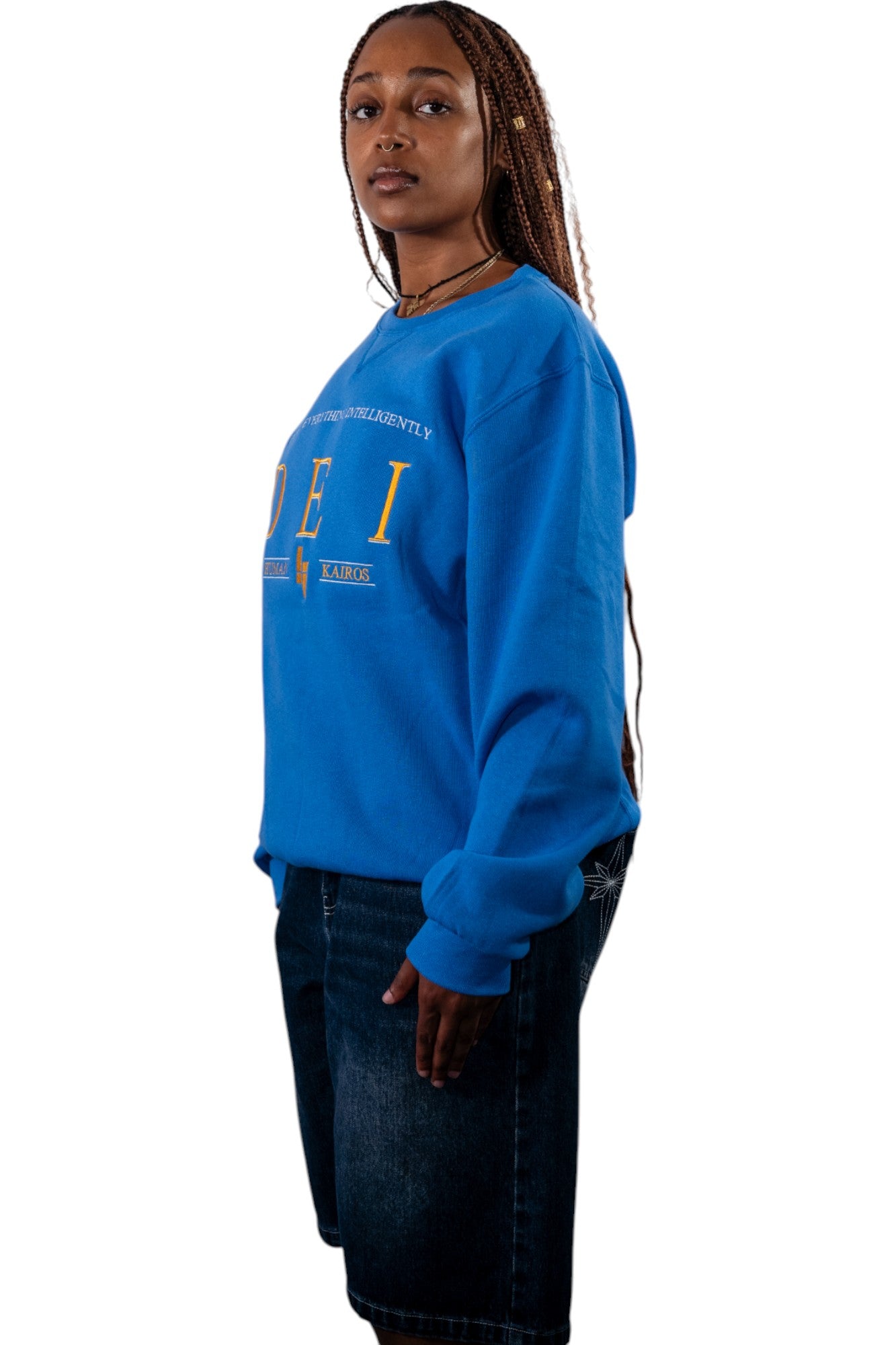 DEI College Crewneck Blue