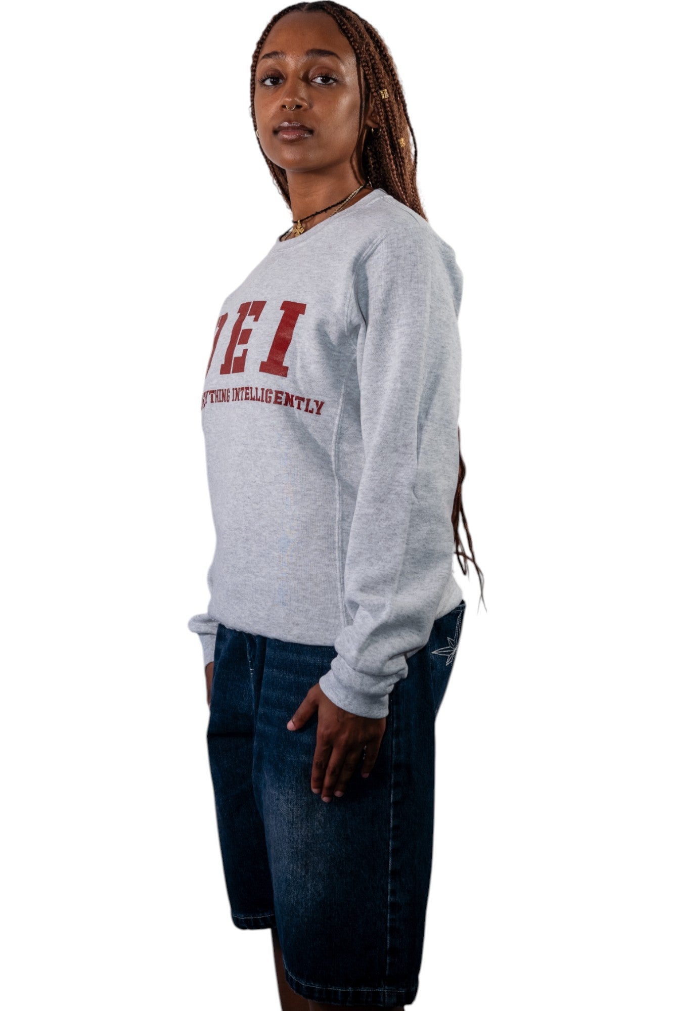 DEI Training Crewneck